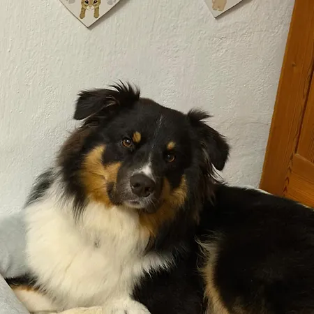 U Marusky Nyaraló