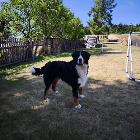 Hébergement de vacances U Marusky *