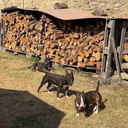 Nyaraló U Marusky *